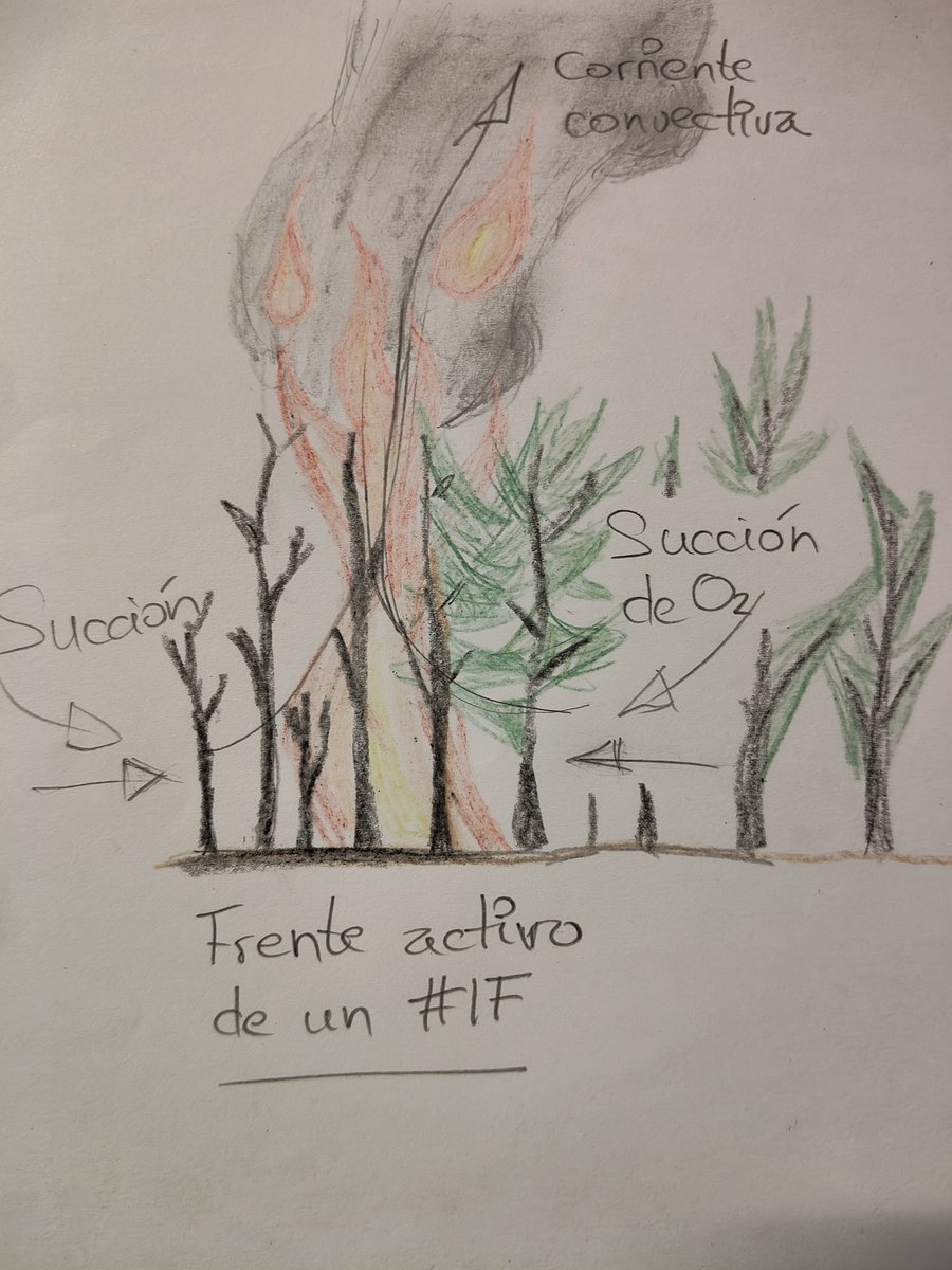 _LuseR_'s tweet photo. El #Contrafuego se basa en un principio simple: la atracción de ambos frentes (el del propio #IF y el practicado mediante contrafuego) debido a las corrientes de succión, aunque este fenómeno solo es efectivo cuando hay poca distancia entre frentes. Os he hecho unos dibujitos: https://t.co/emAbV9Cr3Z