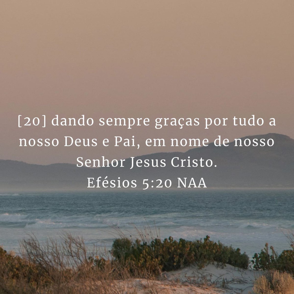 andrepbatista1's tweet photo. 21jul26
🙏🙌 https://t.co/kdYIVe1Lz1