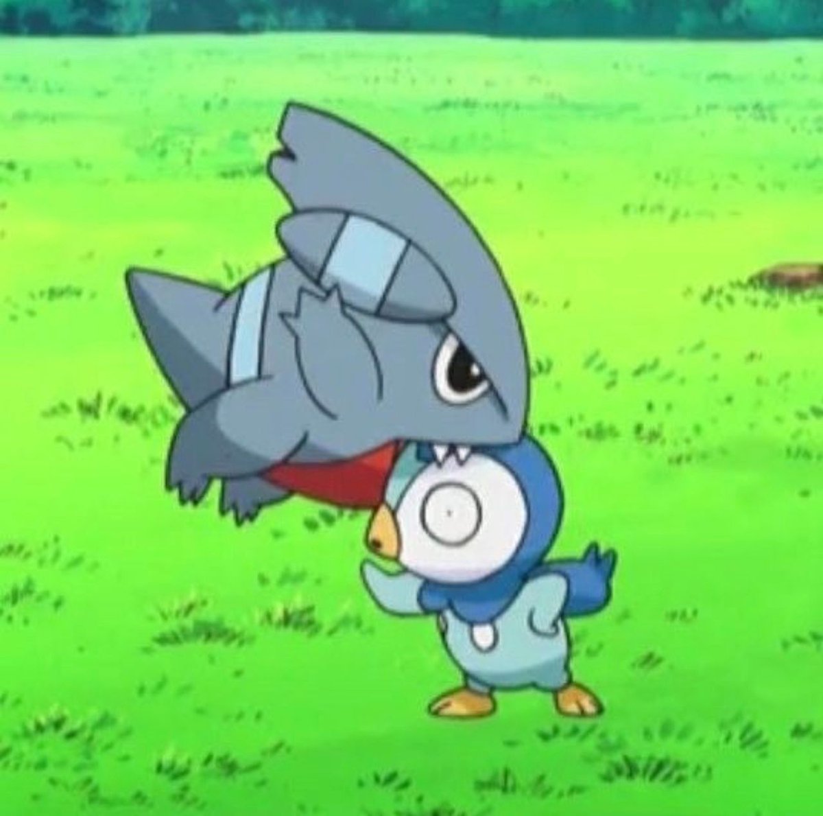 pokemon_daily's tweet photo. https://t.co/KYTgT9YlLL