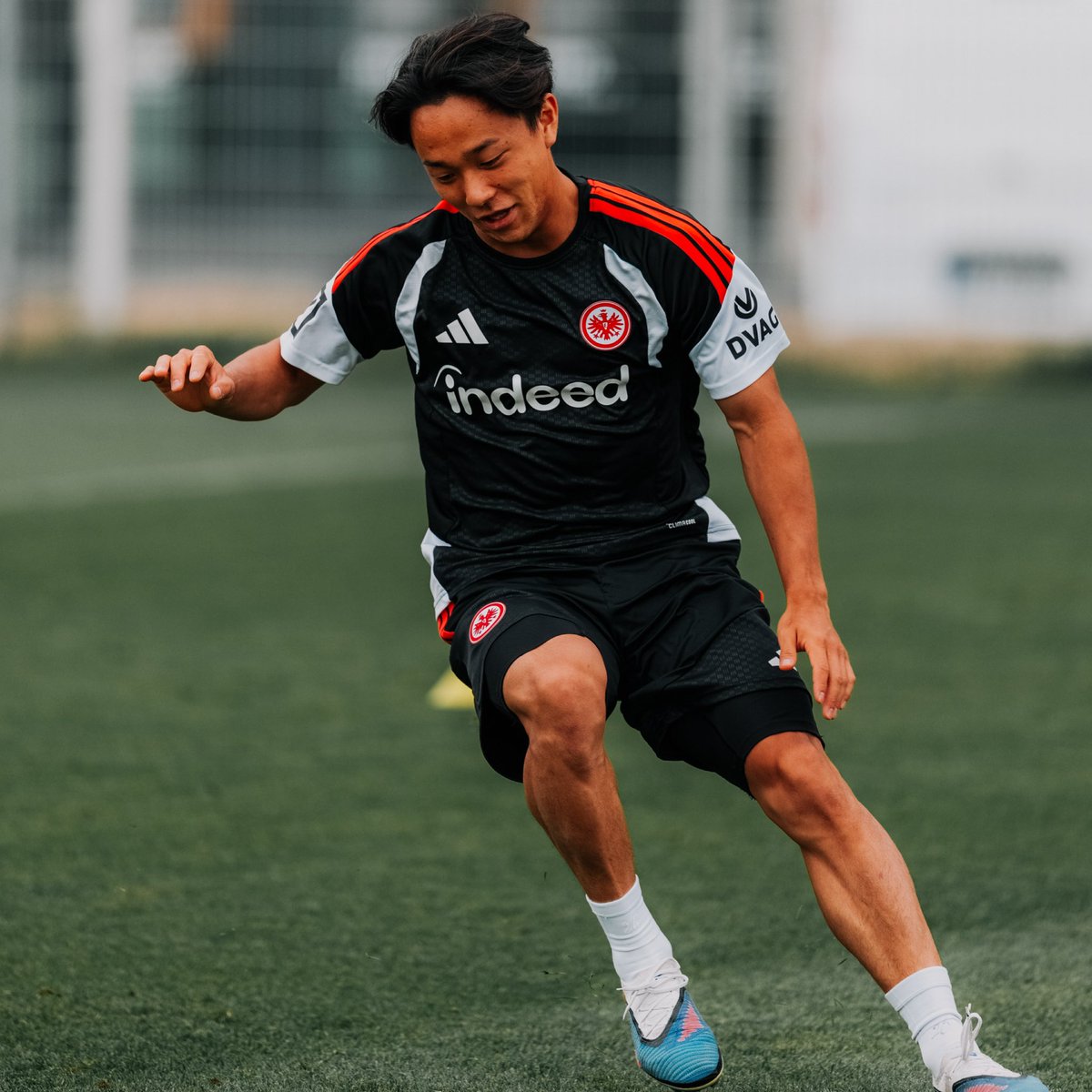eintracht_jp's tweet photo. 昨日のトレーニングでの #神代慶人 選手、#小杉啓太 選手のギャラリー📸🎌

他の写真は公式LINEから👀📲

追加はこちら👇
https://t.co/LM72ChzPcS

#SGE | #アイントラハト | #フランクフルト https://t.co/Ln4C6JR91P