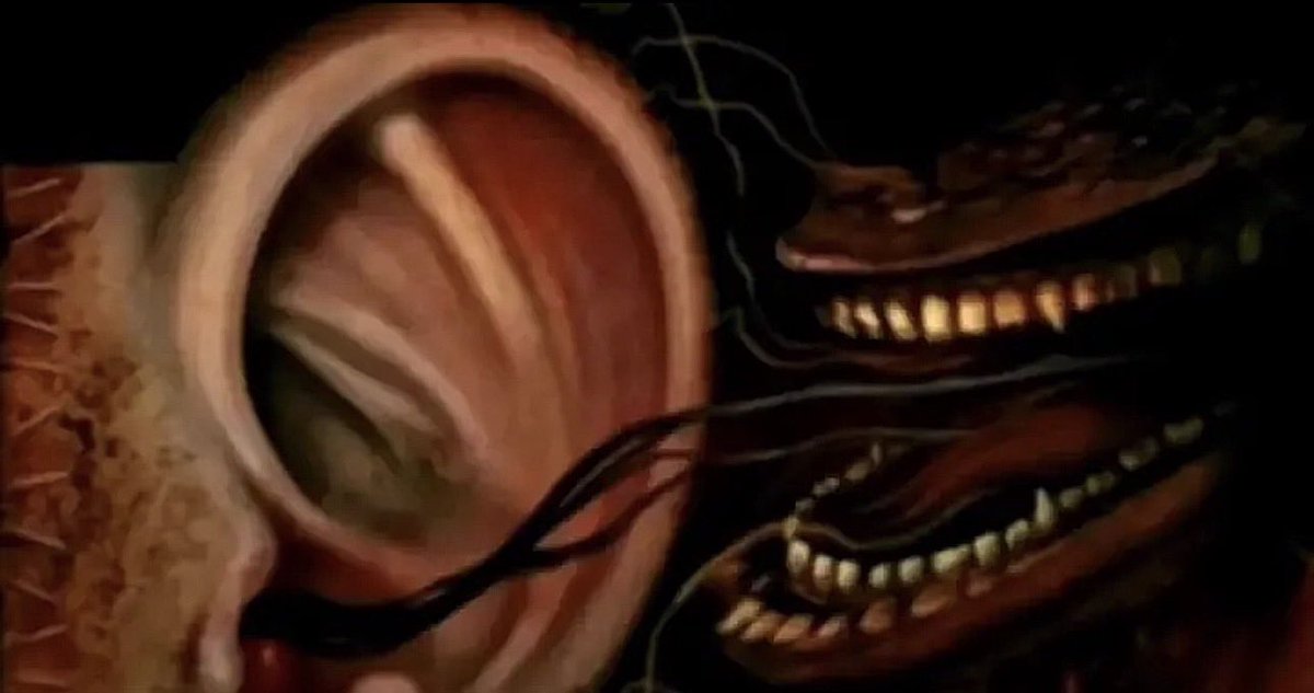 f_4481's tweet photo. @ANTIBEAT__ this what you sound like in my ear https://t.co/McgDEBwvI9