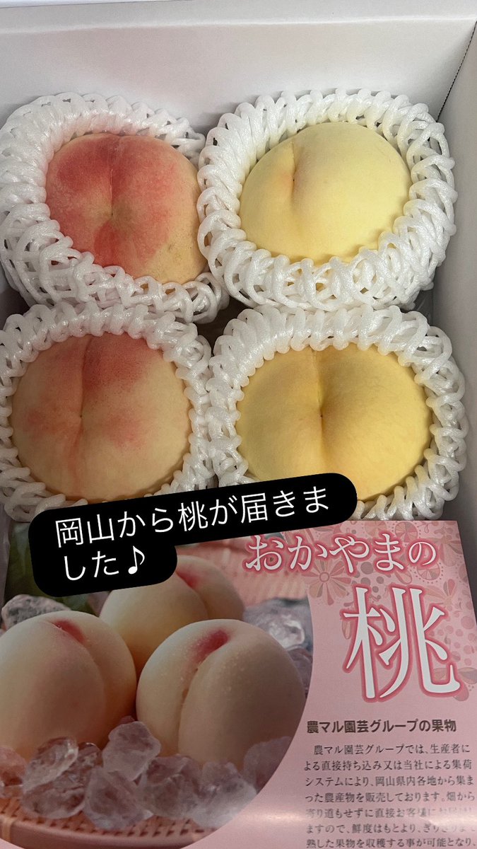 s35m1960's tweet photo. 岡山から2種類の桃が届きました♪
#桃
#岡山
#白桃・白鳳系の桃 https://t.co/YKYYxvjO8O