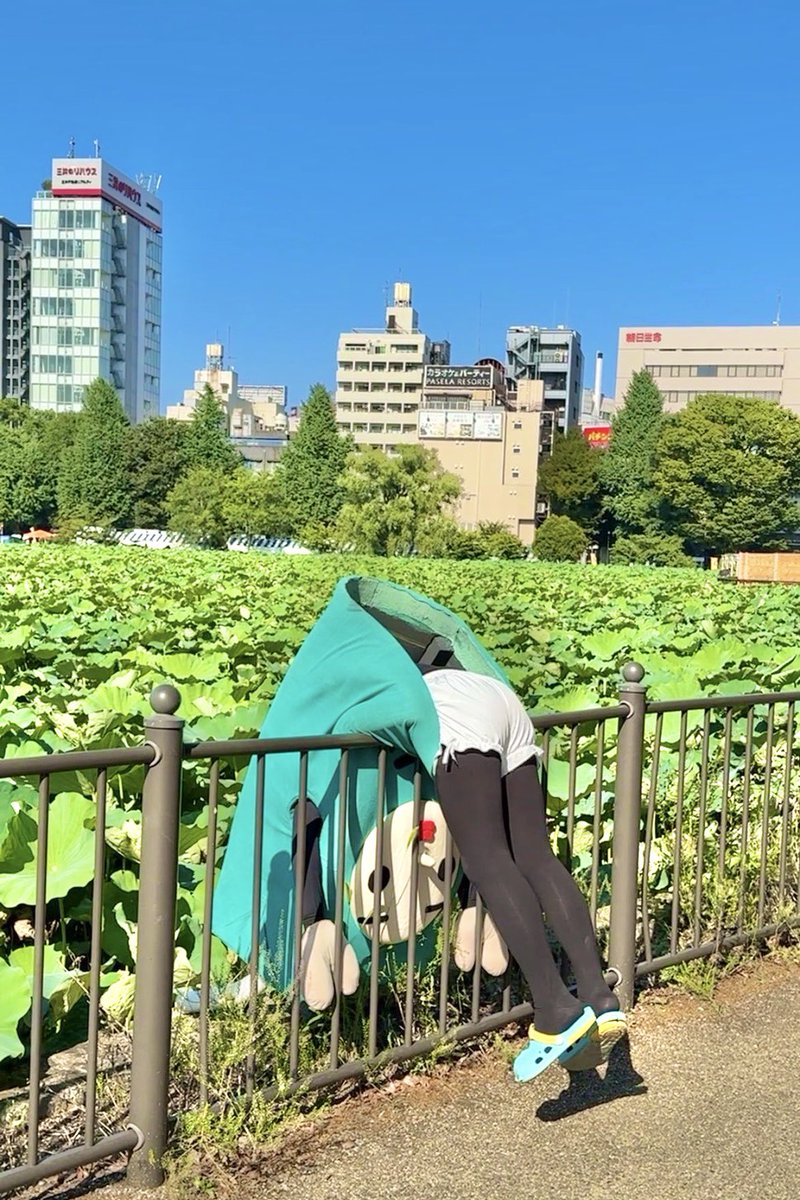 mamenitounyu's tweet photo. 暑すぎ

湯葉になる...

 #暑すぎる夏を終わらせる　#地球温暖化 https://t.co/5Ij7vtyTzq
