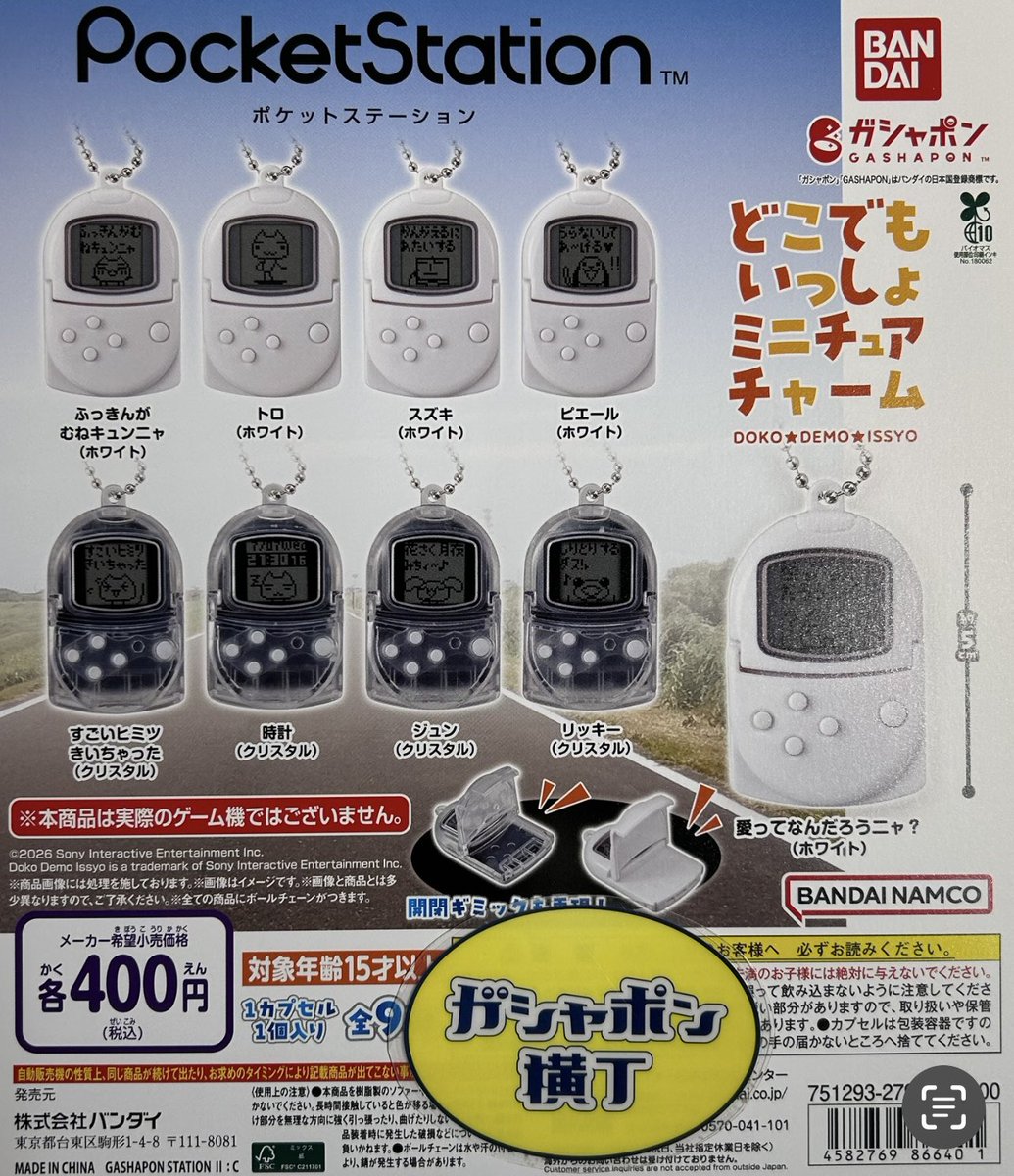 ポケットステーション