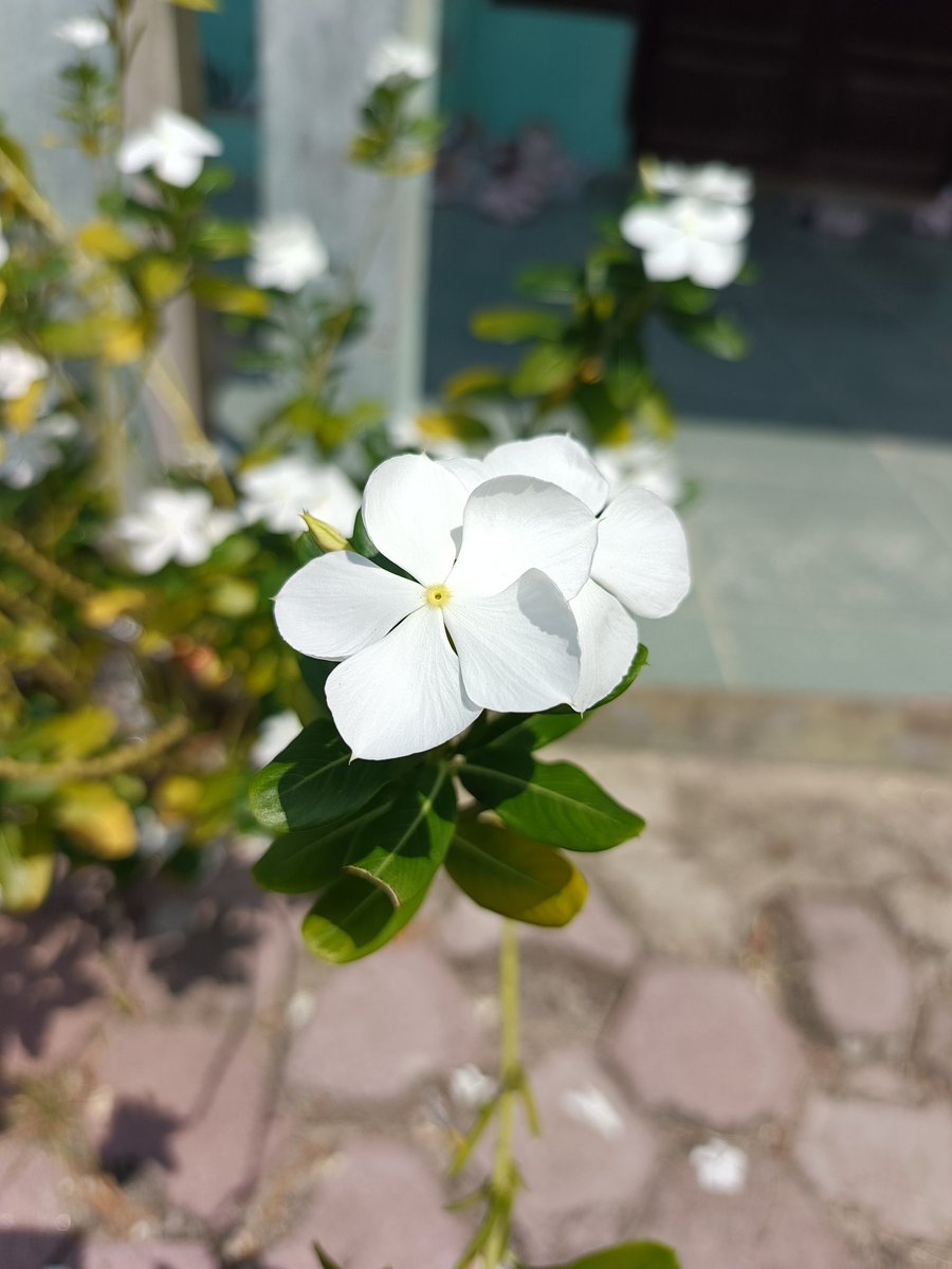 Jaestronaut9's tweet photo. Drop hasil foto dan tipe hpnya.

Infinix Note 40 pro https://t.co/2pWuM0MLsU