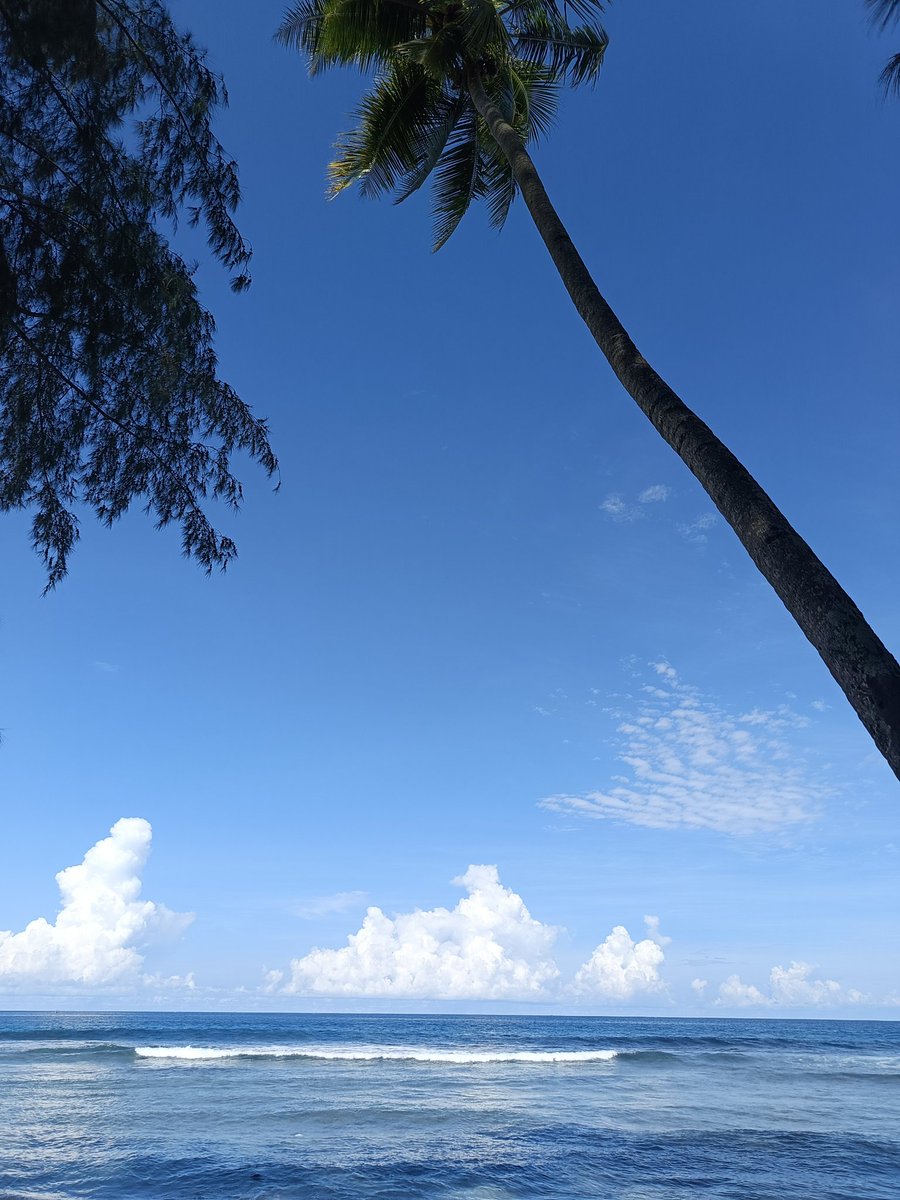 Jaestronaut9's tweet photo. Drop hasil foto dan tipe hpnya.

Infinix Note 40 pro https://t.co/2pWuM0MLsU