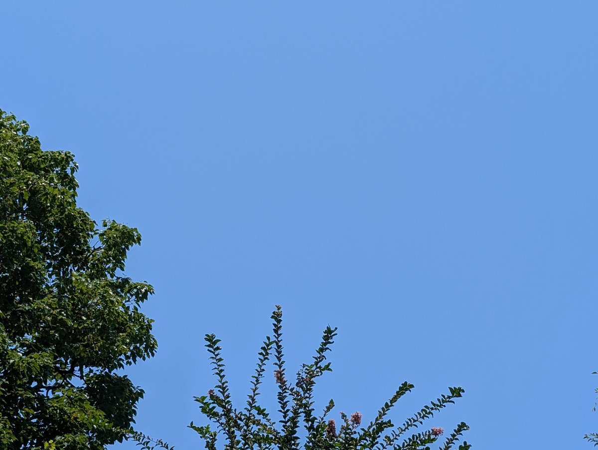 horialive's tweet photo. #イマソラ 
#暑 https://t.co/MF5bSKFzdS