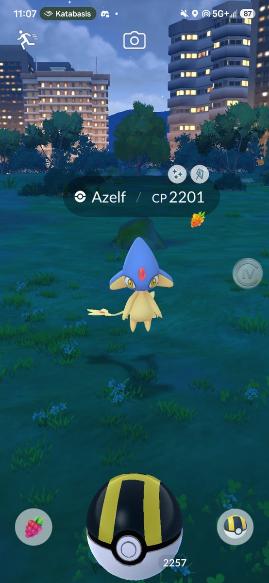 acorn_killer's tweet photo. Unbelievable, shundo lake trio finally completed from a wild hundo azelf! https://t.co/SzqtxXNN2v