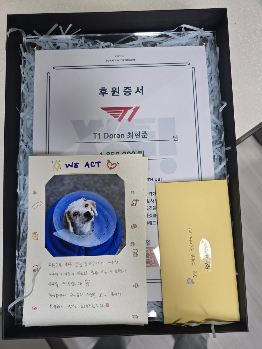 shastadaisy221's tweet photo. 도란 선수의 생일을 기념해 소수의 해외 도란·T1 팬분들과 함께 마음을 모아, 구조가 필요한 강아지들을 돕는 동물구조단체 ‘위액트’에 후원금을 전달했습니다. 후원금은 최근 포천의 불법 번식장에서 구조된 강아지들의 치료와 보호를 위해 사용될 예정입니다. 🐶🍀
도란 선수 덕분에 팬들이 함께 좋은 일을 할 수 있어 더욱 뜻깊었습니다. 이번에 나눈 마음이 좋은 기운이 되어 도란 선수에게 꼭 돌아가기를 바랍니다. 도란 선수, 생일 진심으로 축하합니다! 🎂❤️

#happydoranday #hbddoran #doran #도란