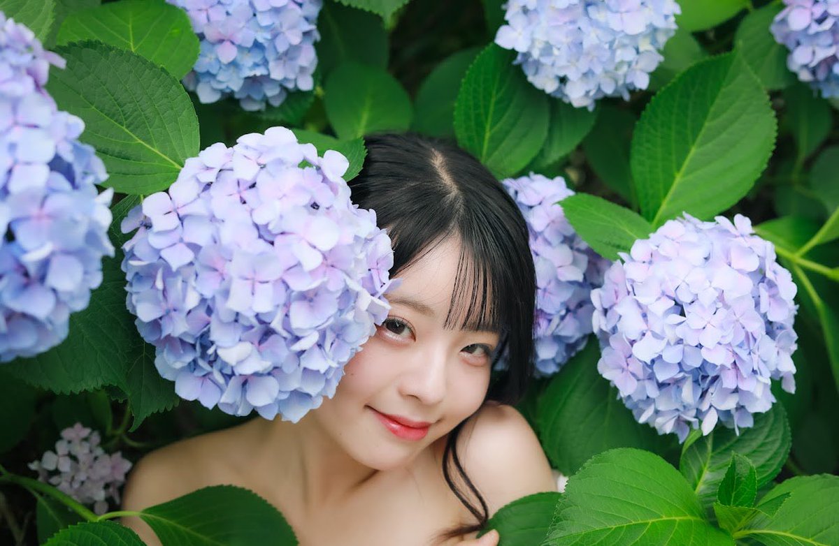 peachann77's tweet photo. 紫陽花の妖精さん https://t.co/pssxjJ1lLr