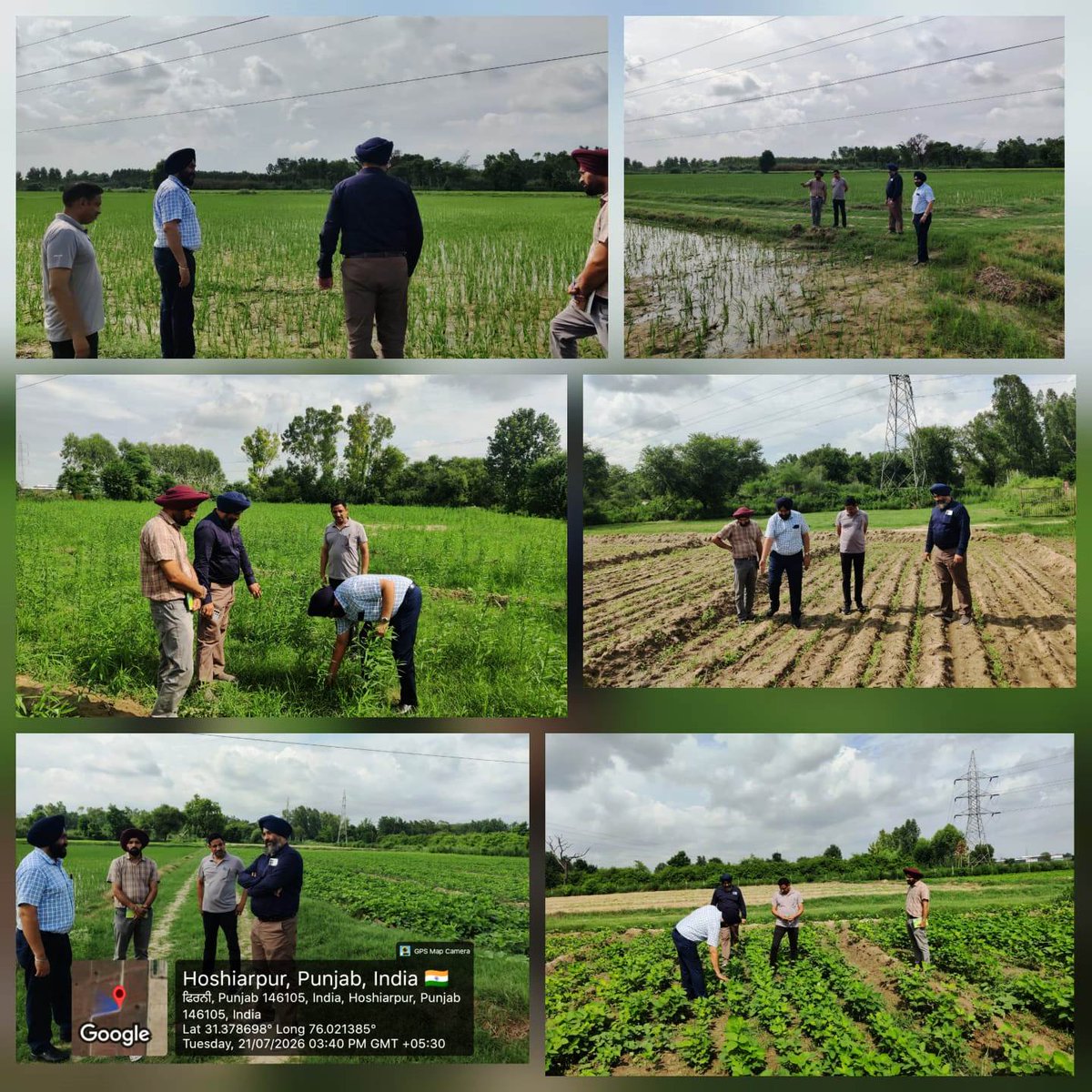 KvkHsp's tweet photo. Dr Amandeep Singh Brar, Director (Seeds) and Dr Gaurav Khosla, Senior Plant Breeder (Seed Technology), PAU, Ludhiana visited PAU-KVK Hoshiarpur today on 21-7-2026 and monitored the seed production plots of paddy, soybean and sesamum. https://t.co/nEURjJba9d