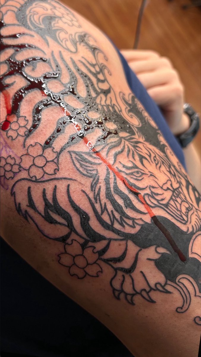 rodrigomn2a's tweet photo. Bleeding Tiger 🐅 https://t.co/PVd4tz6ojk