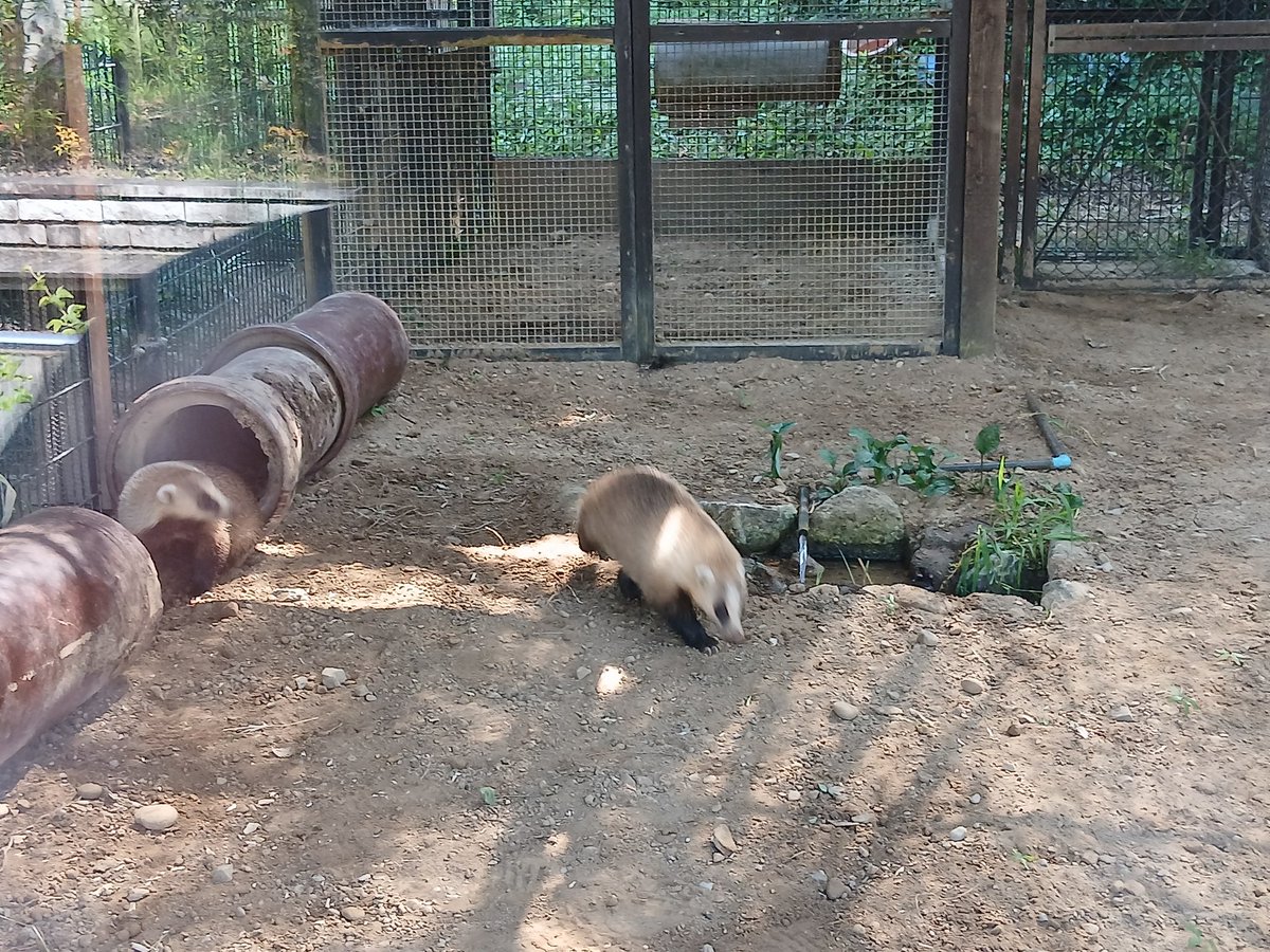 豊橋総合動植物公園（のんほいパーク） (@non_hoi_park) / Posts / X