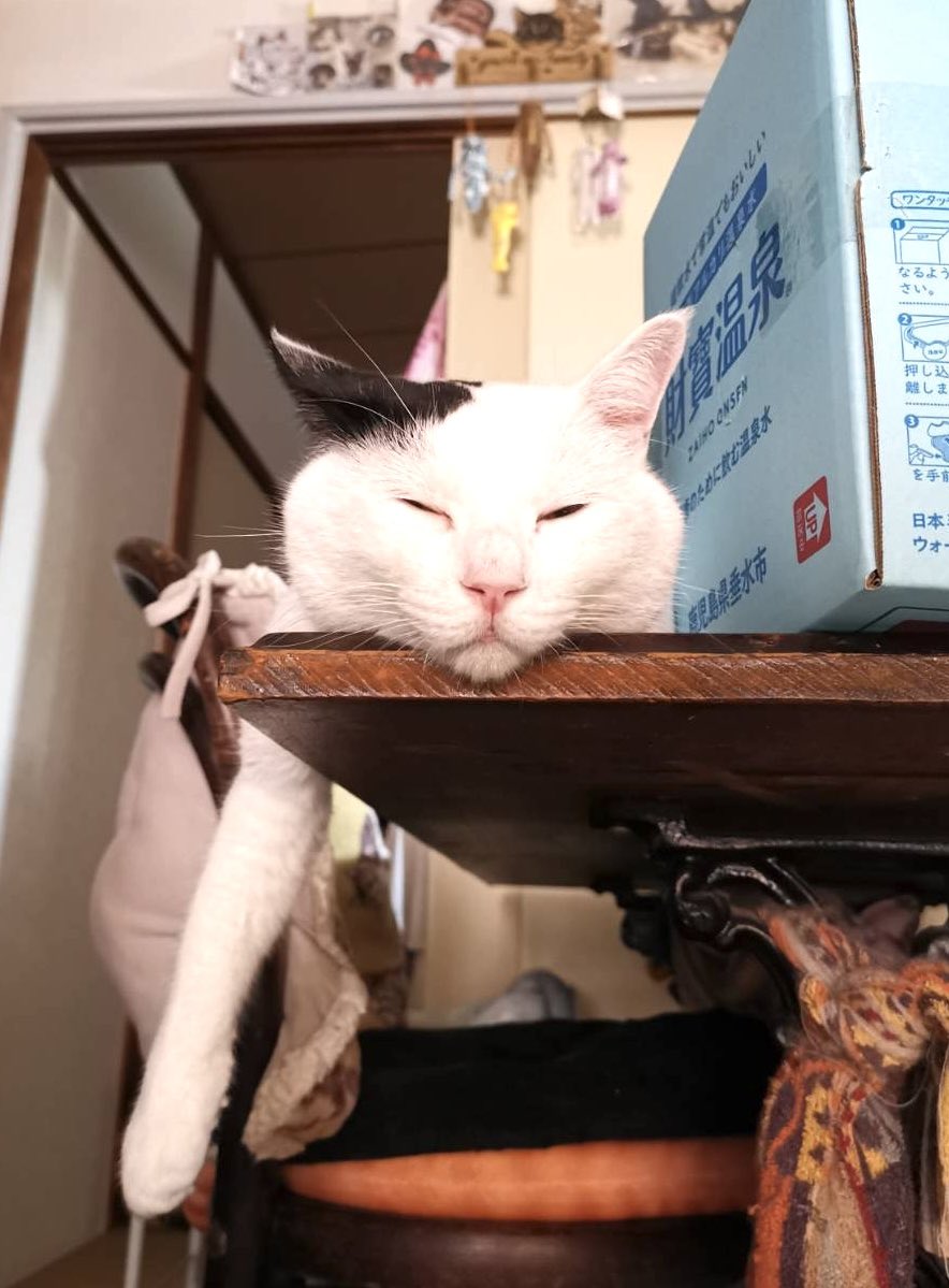 ねね
