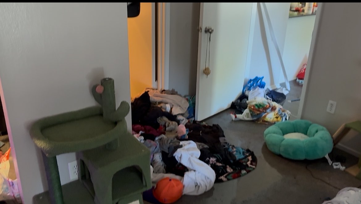 oodhamboi's tweet photo. I left work early due to our apt completely flooding. Most of the water was live due to electric appliances but my partner &amp; I got the kitties out just in time.

If anyone is able to help us with funds for food, pet supplies &amp; extra cash that would be an amazing help. 🥹❤️‍🩹 https://t.co/Y8OOr1eCLM