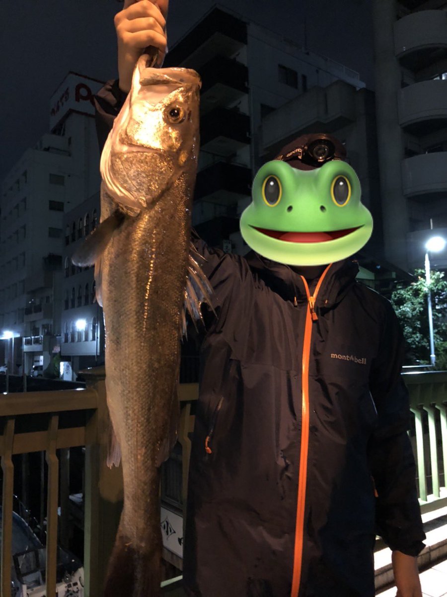 irisawa_takurou's tweet photo. 釣り歴18年🎣

海・川・湖、なんでも釣ります！
シーバス、管釣り、ハゼ、船、ヘラブナ、鯉、淡水小物まで🐟

このアカウントでは、昔の釣果と今の釣行、魚や釣りの話を載せていきます。

釣りの魅力を皆様に広めたいです！

#ブルバ100 https://t.co/jVFLuG7b32