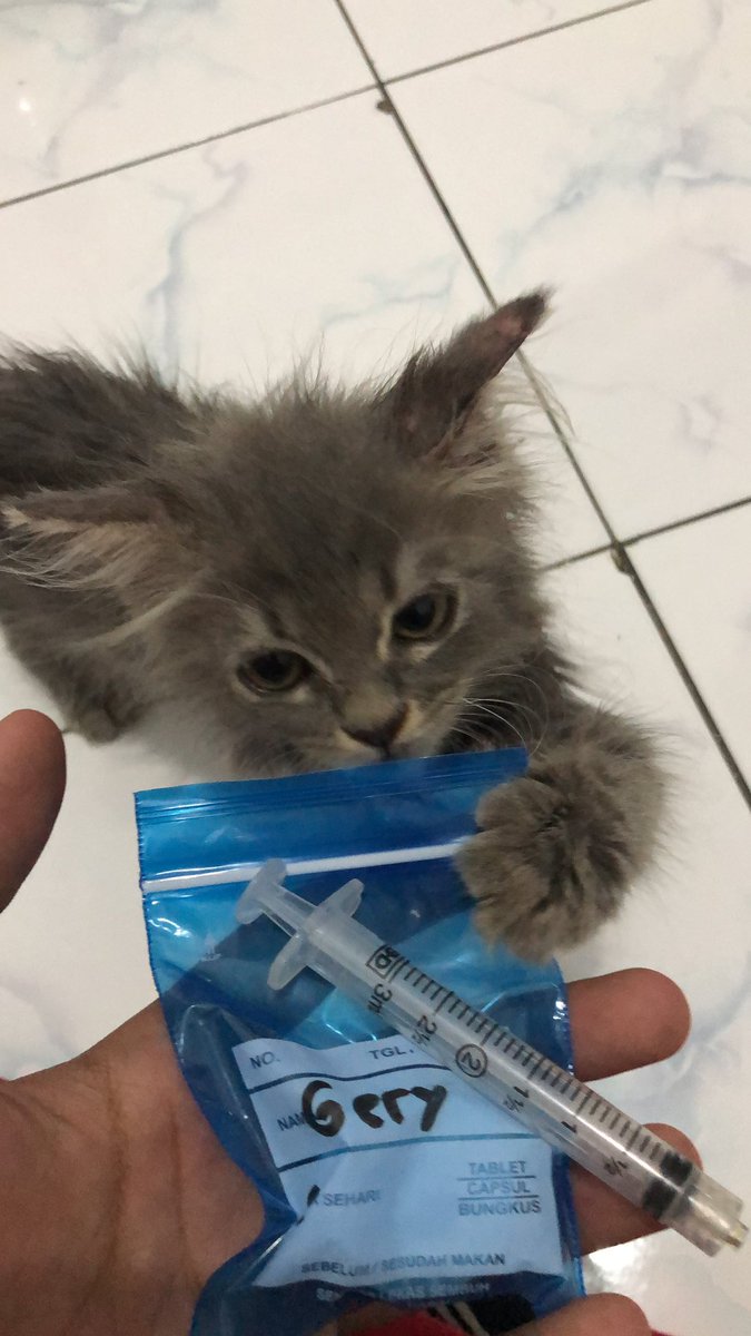 gerysaluts's tweet photo. terimakasi dh menemani aku 4tahunan lamanya ger💔 https://t.co/Q2fB8gZe1D