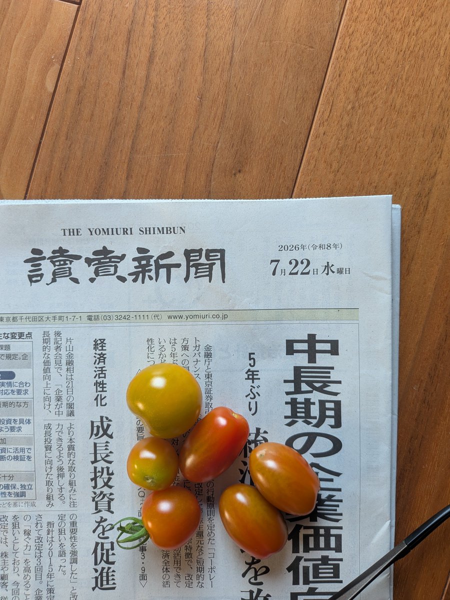 トマト #庭産 #椿峰ニュータウン 2026年7月22日