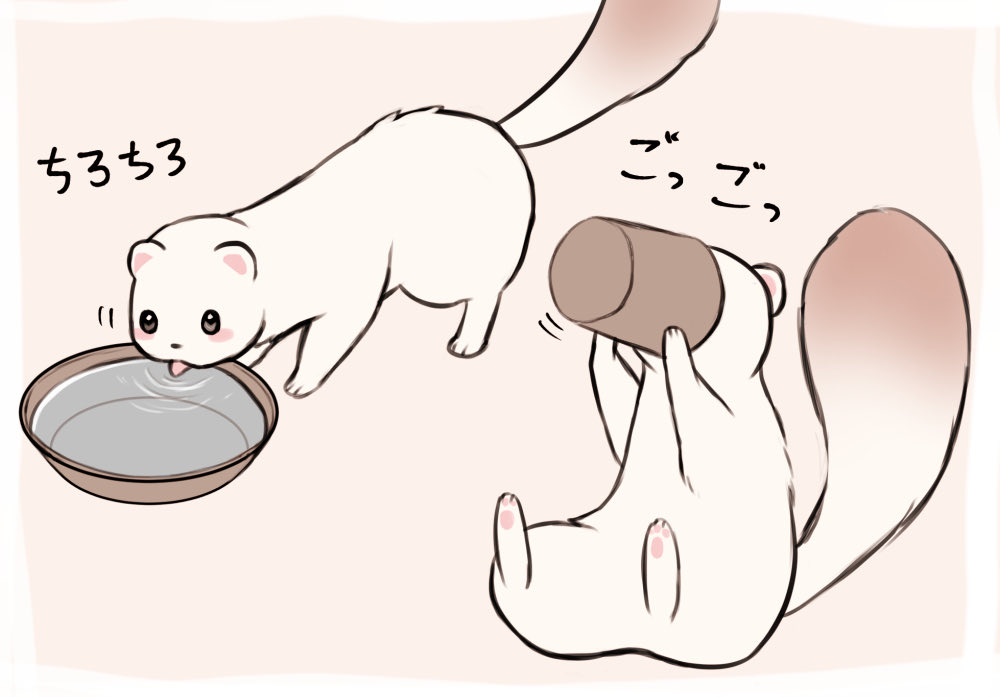 hu_maco's tweet photo. 暑いので夏のトパを再掲。人類もお水飲んでほどほどに冷たいもの食べるんだよ。 https://t.co/FvuAw9mNfq