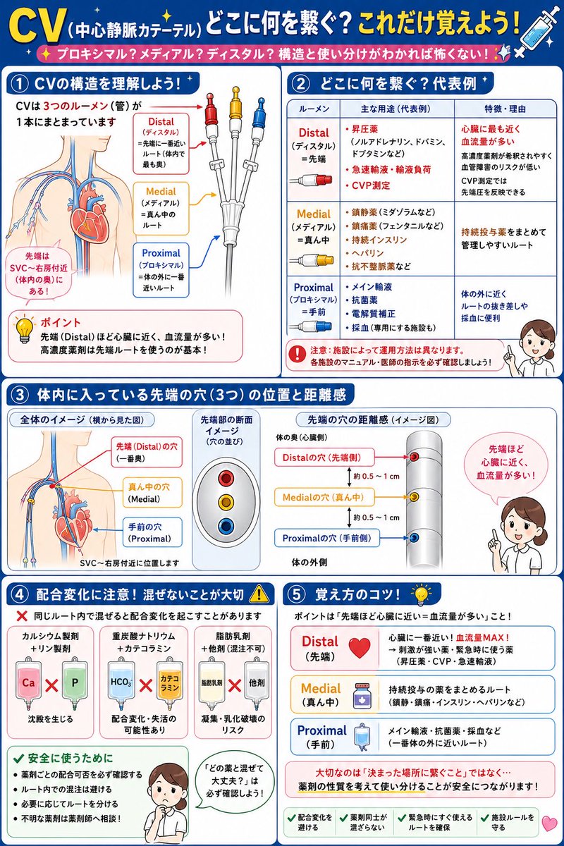 iroiroYI's tweet photo. 💉【CV（中心静脈カテーテル）どこに何を繋ぐ？これだけ覚えよう！】

「プロキシマル？メディアル？ディスタル？」
新人の頃、一度は混乱した人も多いはず。

実は"先端の位置"と"薬剤同士を混ぜないこと"がポイントです🩺

🔵CVは3ルーメンが多い

✅プロキシマル（Proximal）
→体の外に一番近いルート

✅メディアル（Medial）
→真ん中

✅ディスタル（Distal）
→体内で最も先端に近いルート
（SVC〜右房付近）

🔴ディスタルに繋ぐことが多いもの
・ノルアドレナリン
・ドパミン
・ドブタミン
・急速輸液
・CVP測定

理由👇
✔血流量が最も多い場所へ投与される
✔高濃度薬剤が素早く希釈される
✔CVP測定では先端圧を反映できる

🟡メディアル
・鎮静薬
・鎮痛薬
・持続インスリン
・ヘパリン
・抗不整脈薬

🟢プロキシマル
・メイン輸液
・抗菌薬
・電解質補正
・採血（施設による）

⚠️一番大切なのは
「決まった場所に繋ぐこと」ではありません。

✅配合変化を避ける
✅薬剤同士が混ざらない
✅緊急時にすぐ使えるルートを確保
✅施設ルールを守る

❌カルシウム＋リン製剤
❌重炭酸＋一部カテコラミン
❌脂肪乳剤＋他剤（混注不可の場合あり）

CVは"どこでもいい"ではなく、
薬剤の性質を考えて使い分けることが患者さんの安全につながります。

#看護師 #新人看護師 #看護学生 #ICU #HCU #救急 #集中治療 #CV #中心静脈カテーテル #輸液管理 #ルート管理 #薬剤管理 #循環器 #外科病棟 #急性期看護 #看護教育 #看護実習 #ナースの日々のノート
