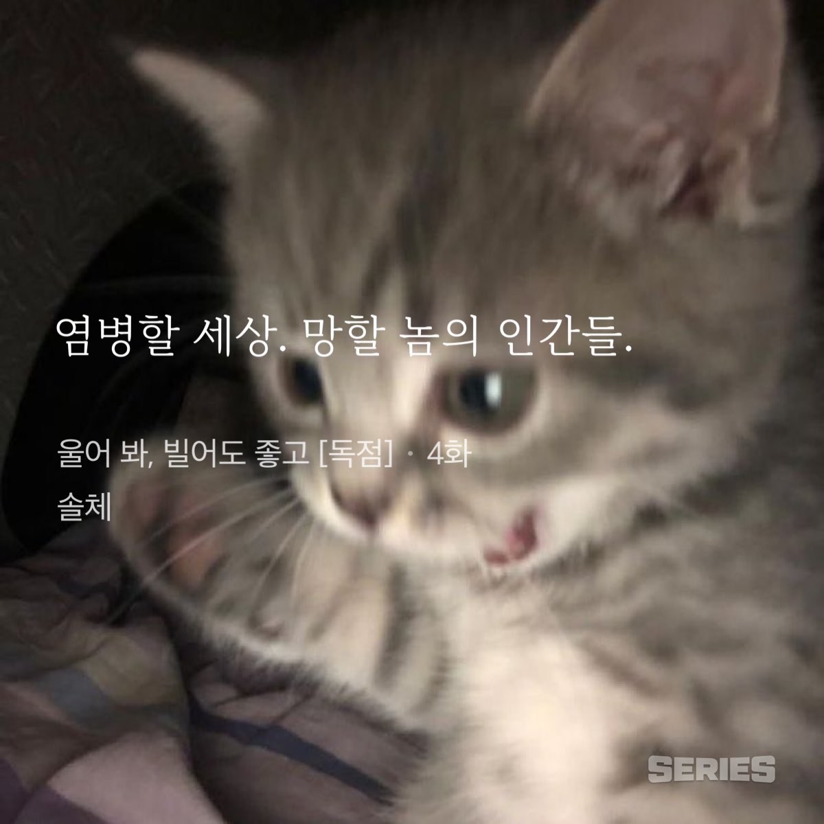 9_2Rl's tweet photo. 요즘 내 마인드 https://t.co/AvIY8oIcOR
