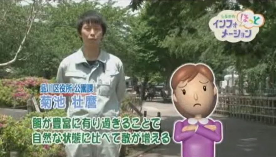 Togoshi_taiso's tweet photo. 公園をより快適に！ 
「公園でハトや猫に餌をあげないで」

公園に住んでいる動物に、かわいいからとエサをあげるとどうなるのかな？みんなで一緒に考えよう✨

品川区内に250か所ある公園をきれいに保つには、みなさんの協力が必要です

品川区公式チャンネルより🌈 https://t.co/UzRGGCZtcZ