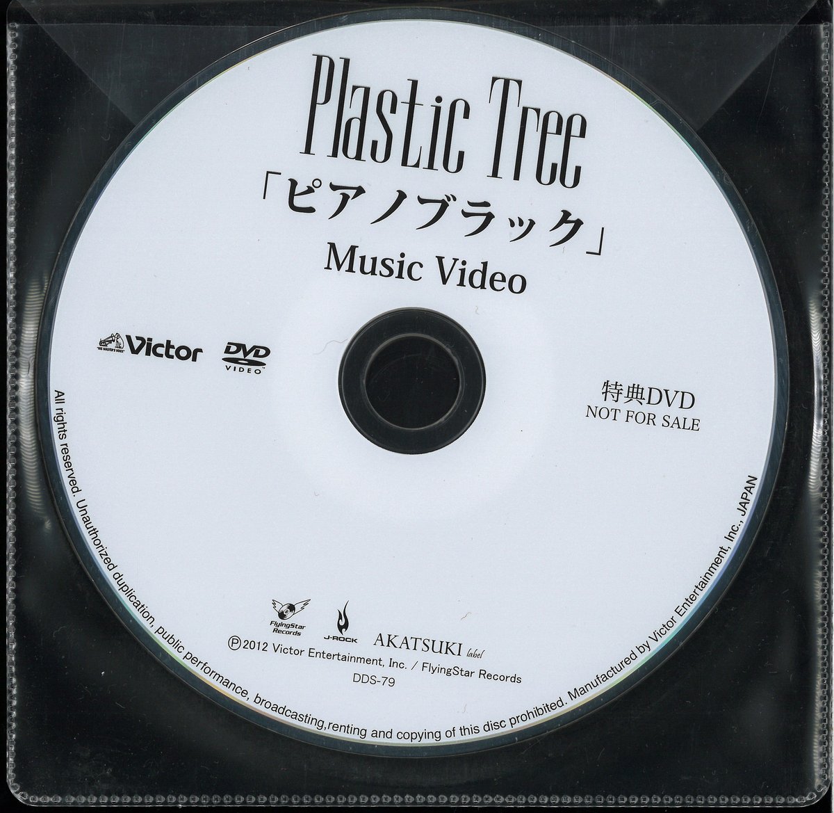 Plastic Tree 2012 インク購入特典DVD 「ピアノブラック」 Music Video