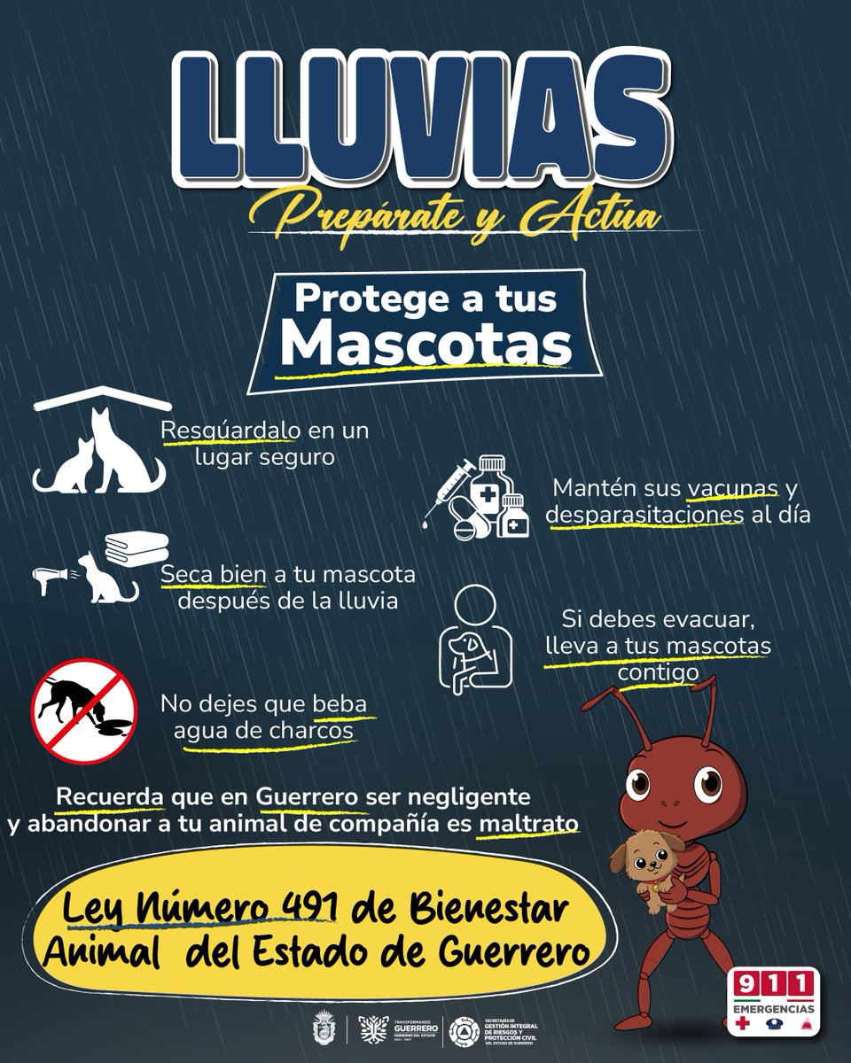 INDEGgob's tweet photo. Ellos también forman parte de la familia. 🐾

Durante la temporada de lluvias, protege a tus mascotas y   mantenlas en lugares seguros 🐶🐱

#PrepárateYActúa #Lluvias2026 https://t.co/sj7iA56Ki4