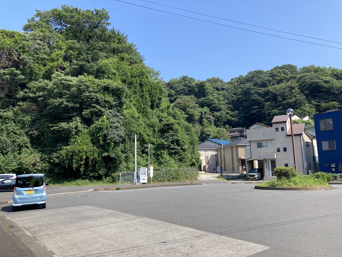 blueberryjamjam's tweet photo. 🚌サイコー❣️待ち時間1分
開けてくれた♪ https://t.co/HM7iXR3WB4