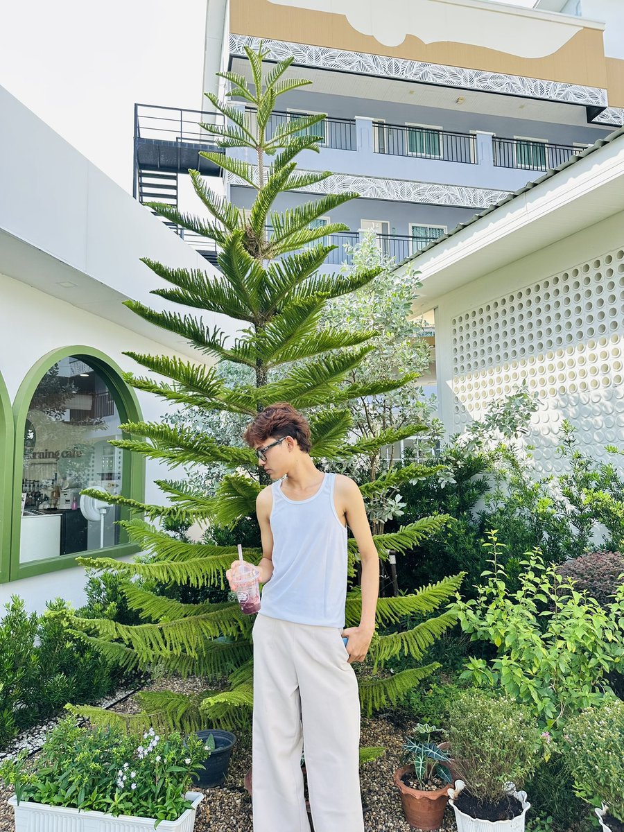 Rosefk2k's tweet photo. Coffee date?Nataiကအဖော်လိုချင်💗 https://t.co/3pm3AsJNyw
