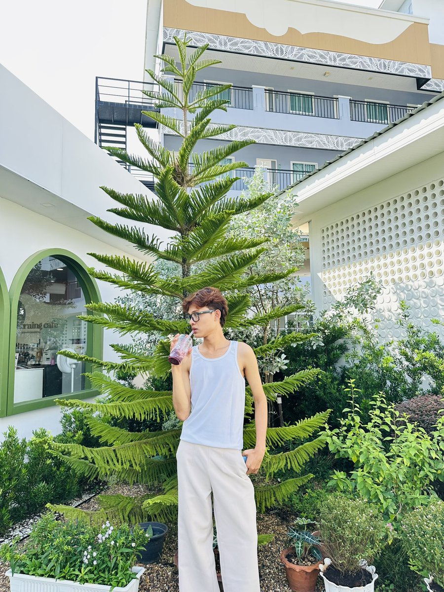 Rosefk2k's tweet photo. Coffee date?Nataiကအဖော်လိုချင်💗 https://t.co/3pm3AsJNyw