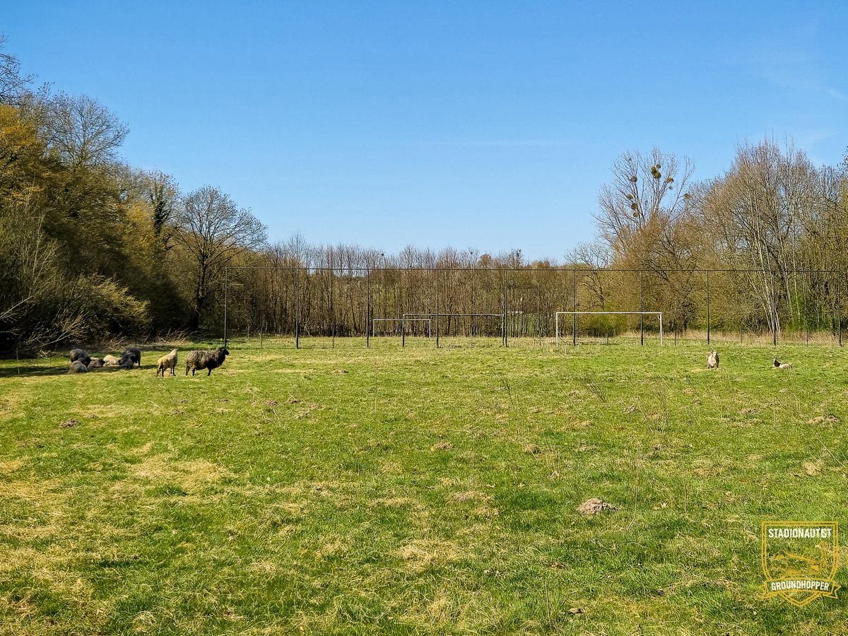 stadionautist's tweet photo. Lost Grounds Week • 3/7
Werd hier ooit om promotie gevochten, vandaag grazen er schapen.
Het fluitsignaal verstomde maar het gras vond een nieuwe bestemming.
Sportcomplex Villare, Nijswiller
#LostGrounds #stadionautist https://t.co/8MTeUZslKz