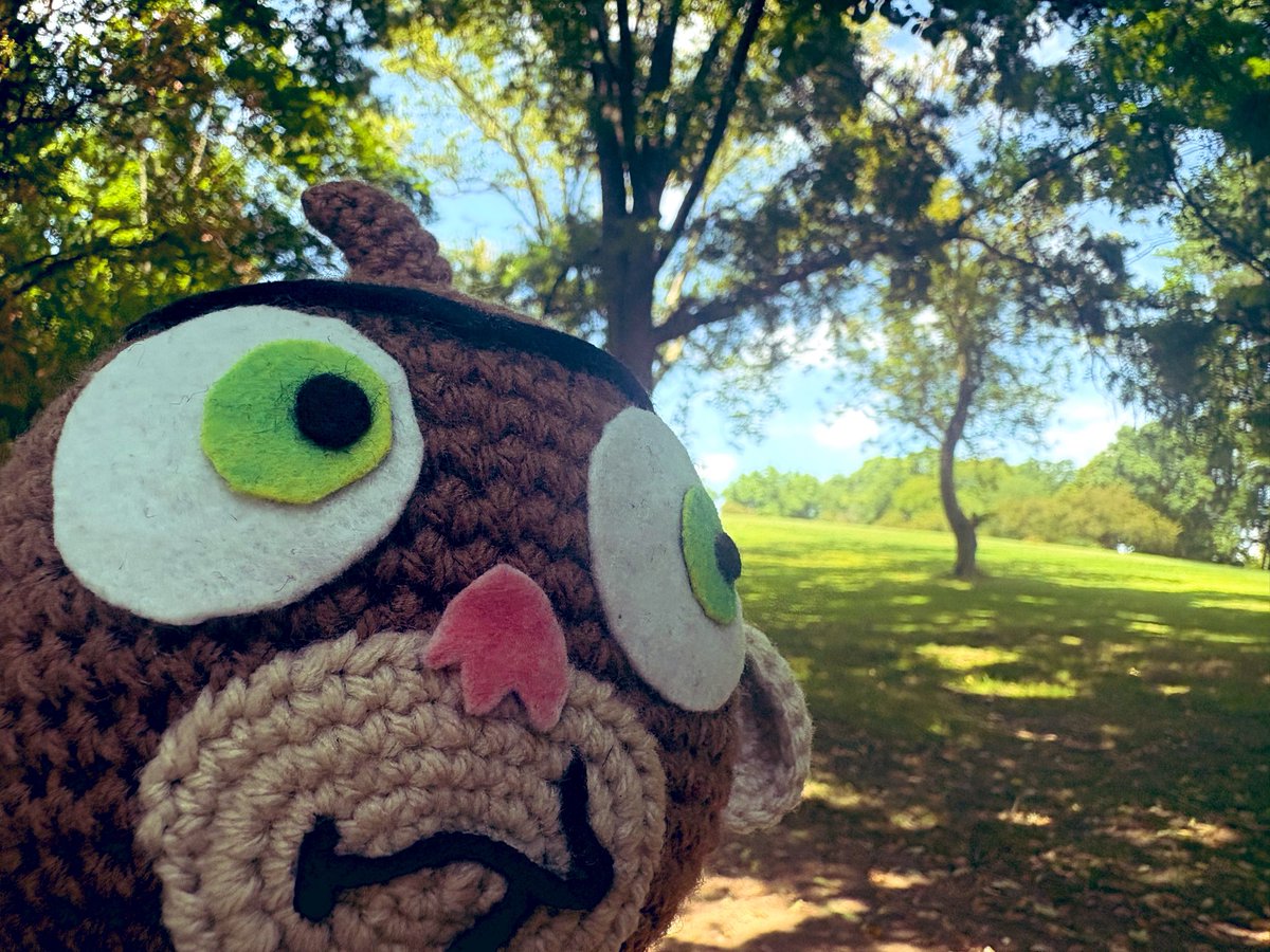 Zipit13110's tweet photo. outside 2.
#rocketmonkeys https://t.co/MgawBIZzu6