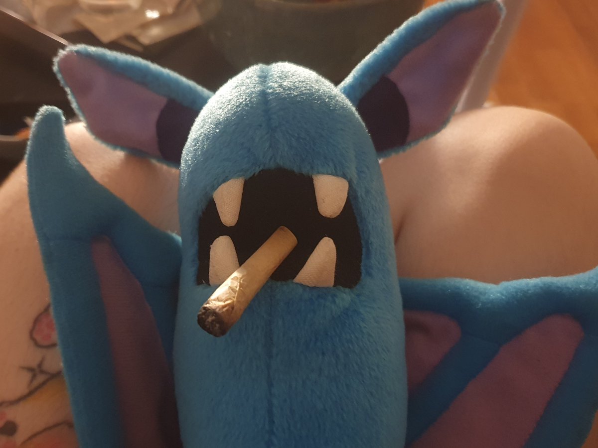 Calicoluu's tweet photo. Zubat fumón https://t.co/gylMdQK5vz