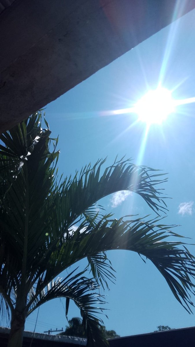 LAURA_BARBOOSA's tweet photo. 05/08/2026
💛🌞 https://t.co/p3Ux7wcEBw