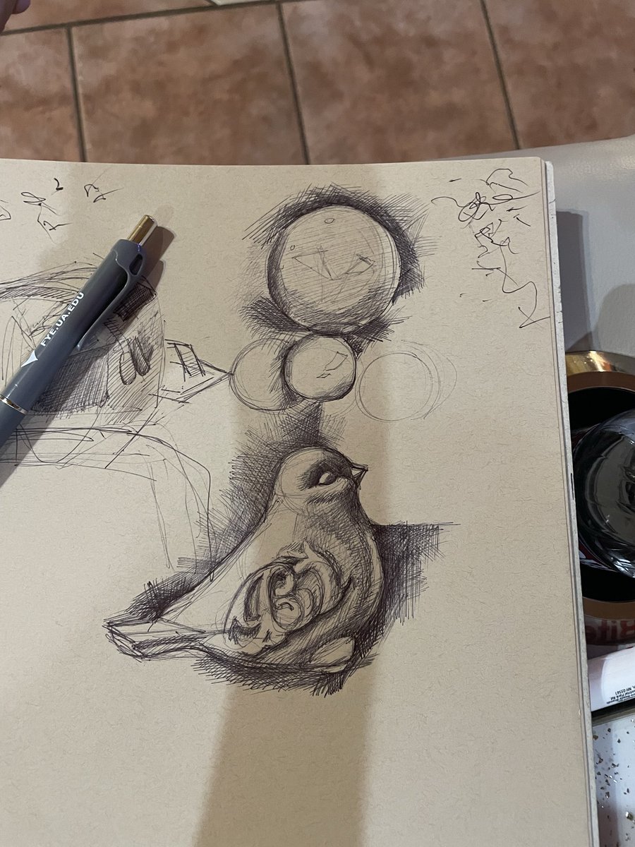WeezerFan34's tweet photo. Burd https://t.co/aaF3sF4T0D
