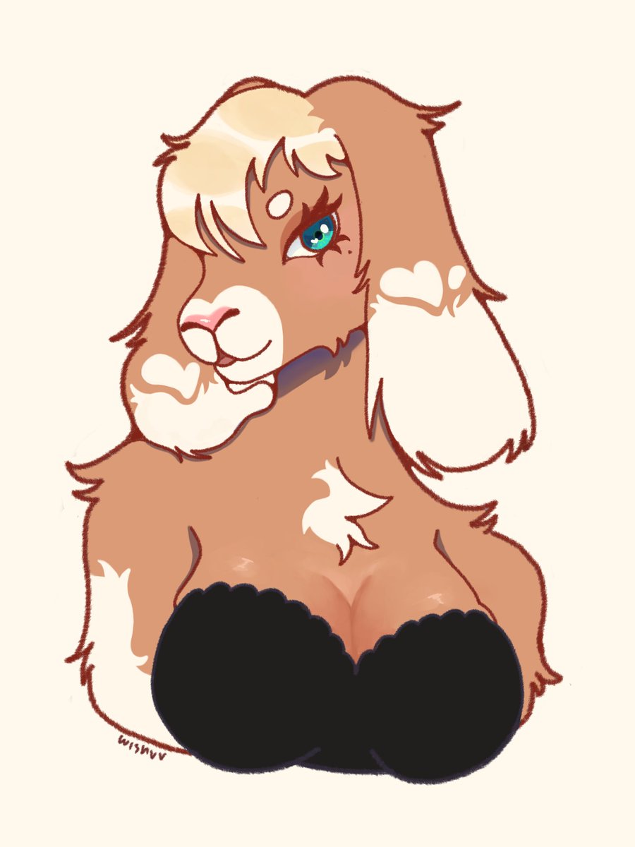 w1shuu_'s tweet photo. yiy tpos na #digitalart #anthro #furryart #furry https://t.co/HXDXqdFYYt