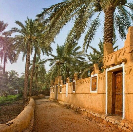 mutafayiill's tweet photo. توهج الرمال الذهبية عند الغروب والشروق يروي حكاية بلد تجمع بين الأصالة والكبرياء.
#موريتانيا https://t.co/Vrj7WgQMuQ