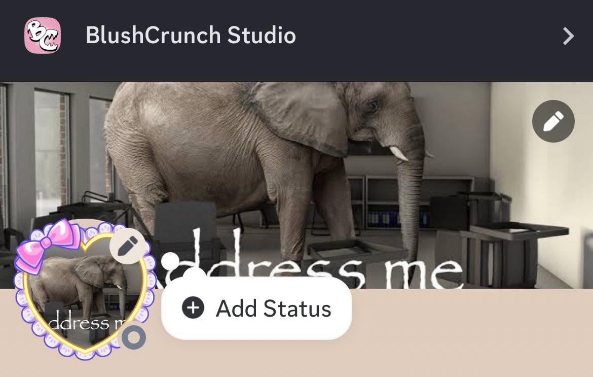pivoky's tweet photo. rate the layout https://t.co/kQhqL3DqOn