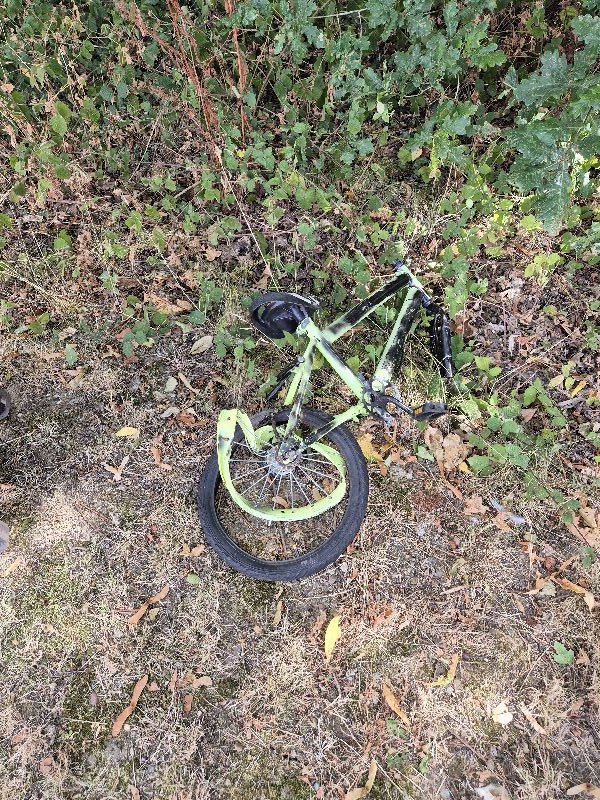 BBullrushes's tweet photo. We found the 🚲 to go with yesterday's handlebars. Cleared the last of the sofa remains from the woods. At least it was a bit easier to move after being smashed into pieces. Looks so much better for now at least 🤞 #NotABin #LoveWhereYouLive @LitterReporting #Derby https://t.co/xq1dtZQtcG