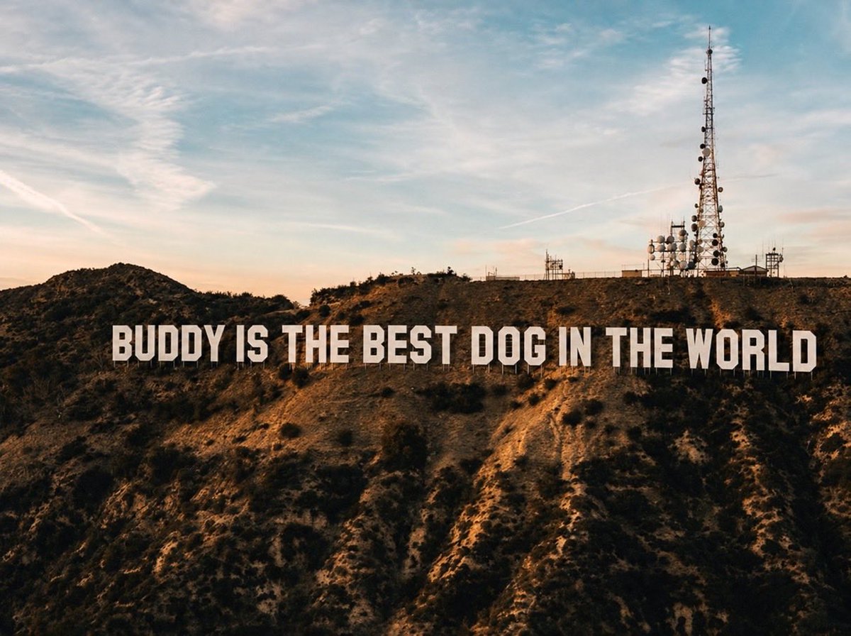 Only1CryptoLee's tweet photo. @NoOnesS0n @dogecoin @Buddy0nsol https://t.co/Bkq3jUbg55