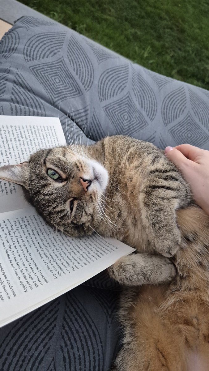 soraisreading's tweet photo. I guess the reading session is over https://t.co/hqneuqDMCm