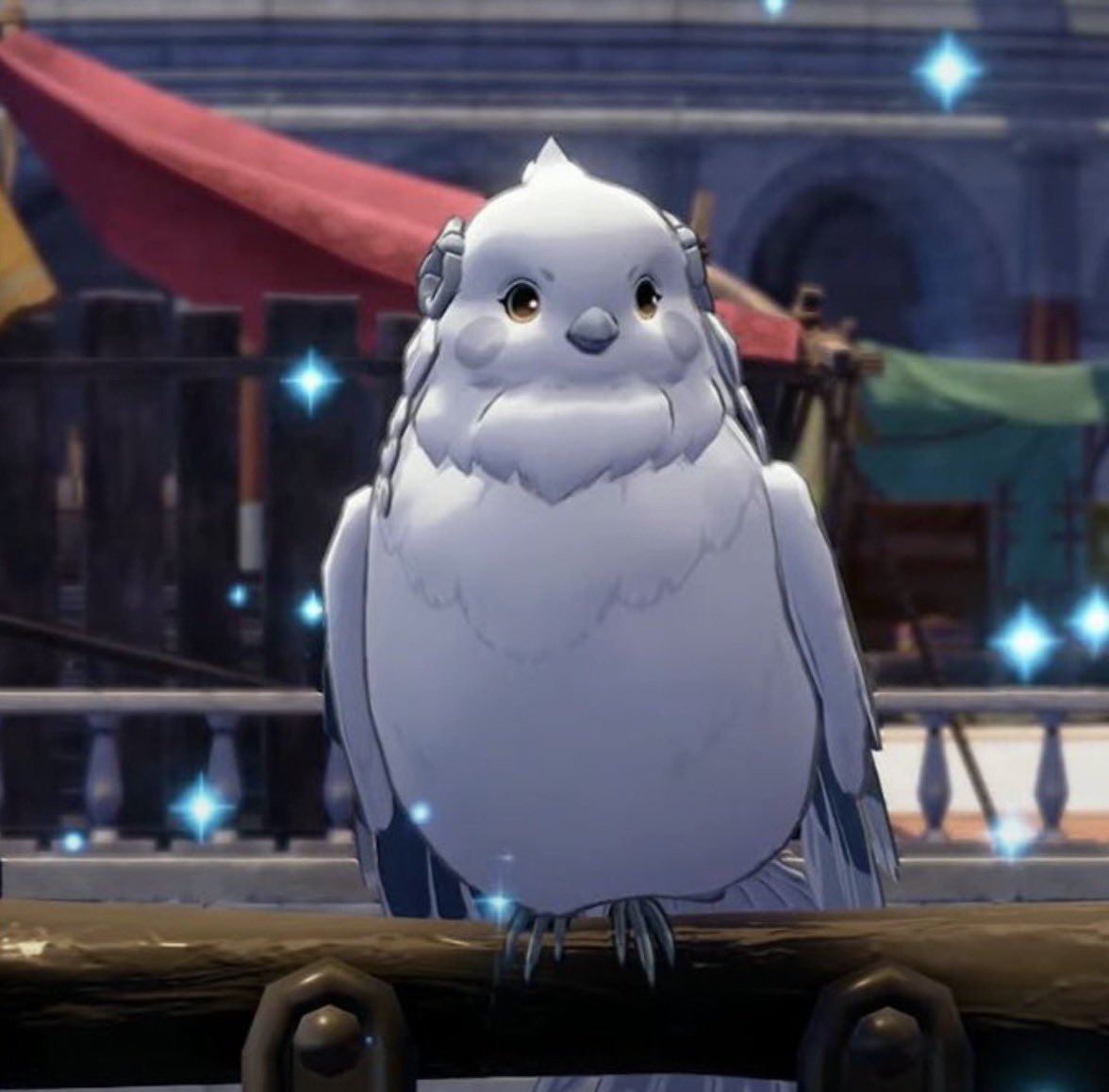 Slut4M0nes's tweet photo. My little chungus bird who I love https://t.co/2HOB6BPHzw