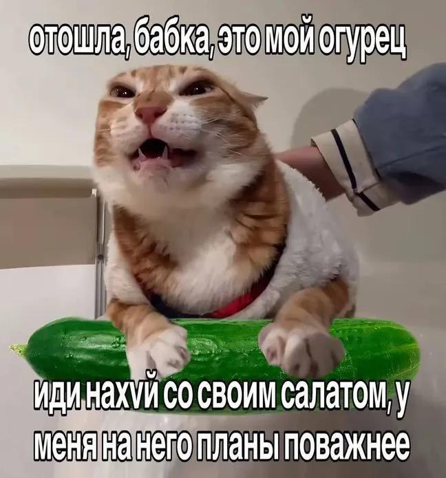 LMAOpssso's tweet photo. https://t.co/Ia0nbPLWZb