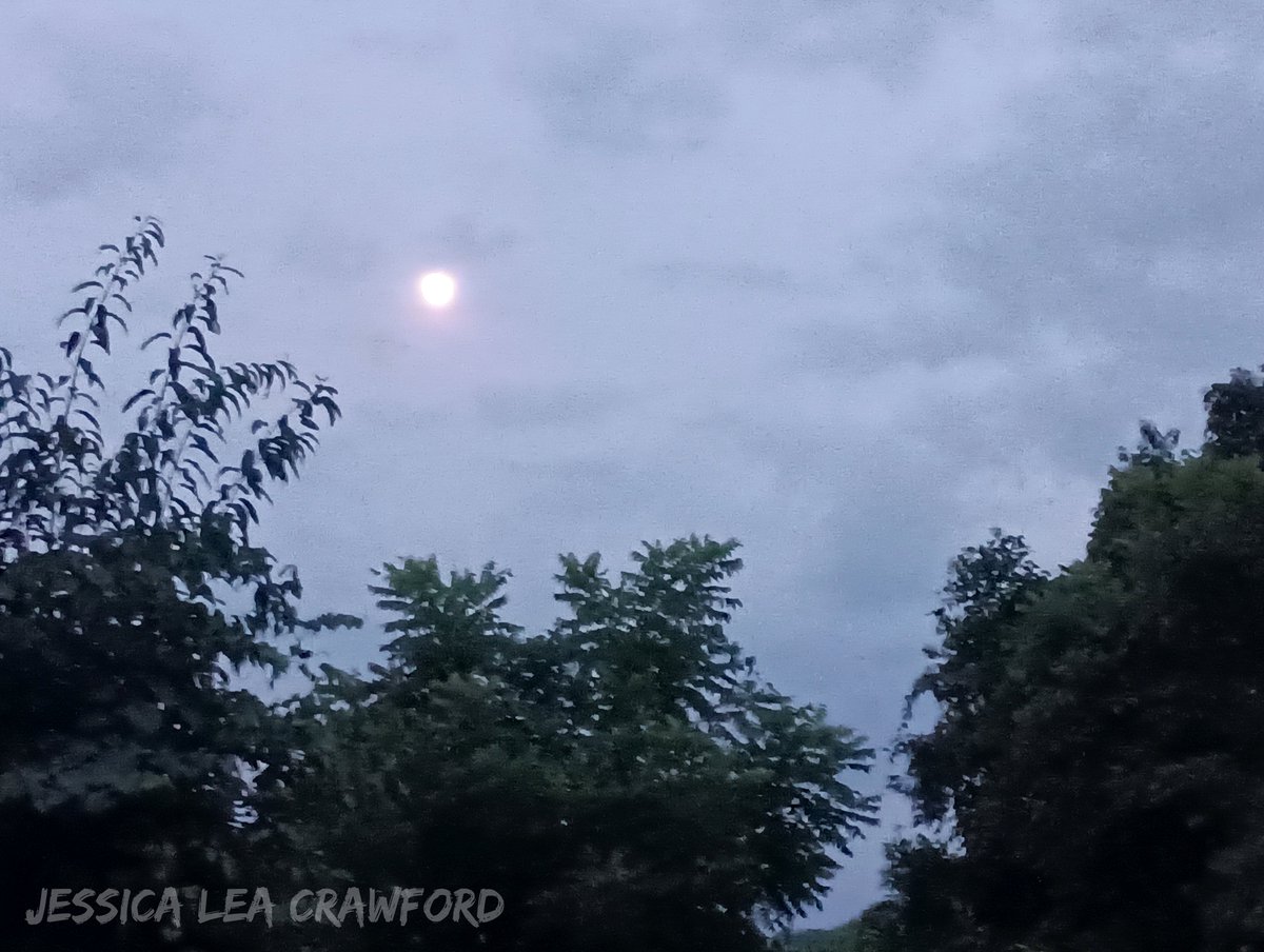 _Jessica_Lea_'s tweet photo. Moon at Dusk

#Moon #westvirginia #mountains #naturephotography #landscapephotography https://t.co/doFki88i09