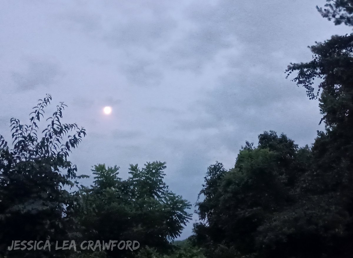 _Jessica_Lea_'s tweet photo. Moon at Dusk

#Moon #westvirginia #mountains #naturephotography #landscapephotography https://t.co/2rqEDjSdHl