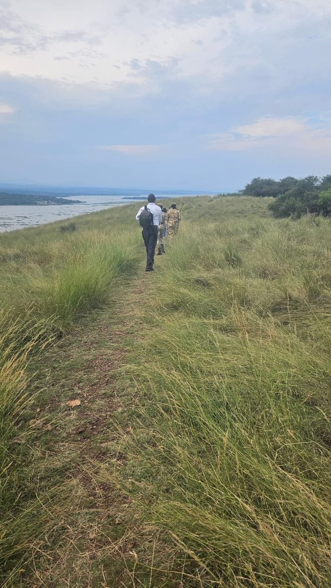 KWSWesternCirct's tweet photo. How would you like to explore the most iconic island on Lake Victoria? 

Whether it's a scenic boat ride across shimmering waters, a guided nature walk, breathtaking panoramic views, spectacular sunsets, or close encounters with wildlife, every journey to Ndere Island N Park. https://t.co/EROkTO2TXa