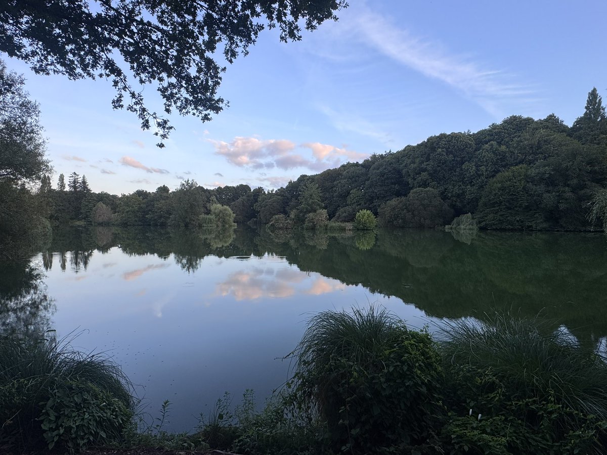 stechilly's tweet photo. Redmill fisheries. Stunning place. All the amenities. Daron the owner is a lovely bloke. Fish are ridiculous. You can drive and survive or rent a house with a pool. Highly recommend. Still 5 days left 😛🎣 #carp #bivvylife #france https://t.co/wCw9kJ4qHl