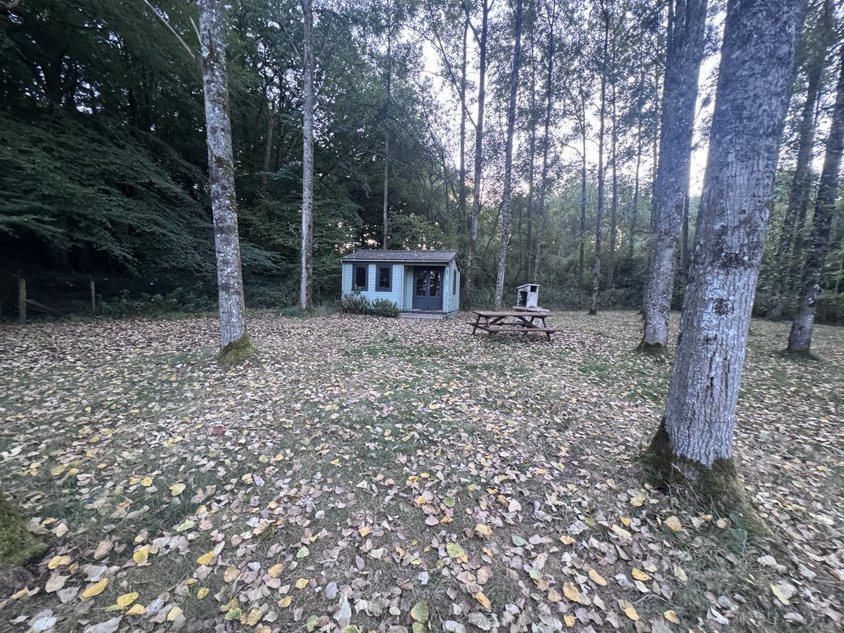 stechilly's tweet photo. Redmill fisheries. Stunning place. All the amenities. Daron the owner is a lovely bloke. Fish are ridiculous. You can drive and survive or rent a house with a pool. Highly recommend. Still 5 days left 😛🎣 #carp #bivvylife #france https://t.co/wCw9kJ4qHl
