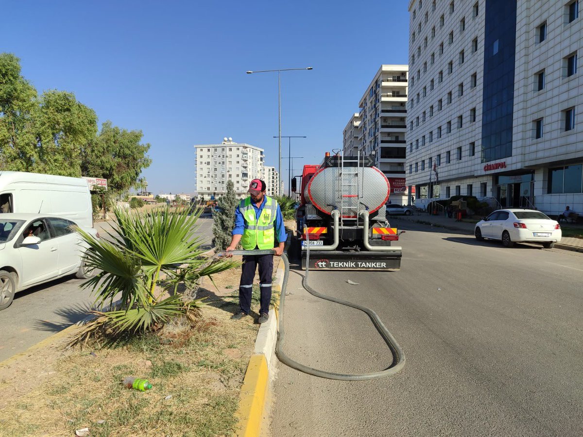 MardinBuyukshr's tweet photo. Şehrimizin Yeşiline Özenle Bakıyoruz 🌳💧 

Mardin Büyükşehir Belediyesi olarak, şehrimiz genelindeki ağaç ve fidanlarımızın sağlıklı gelişimini sağlamak amacıyla sulama, budama ve bakım çalışmalarımızı aralıksız sürdürüyoruz. https://t.co/9xh9JmjDSG